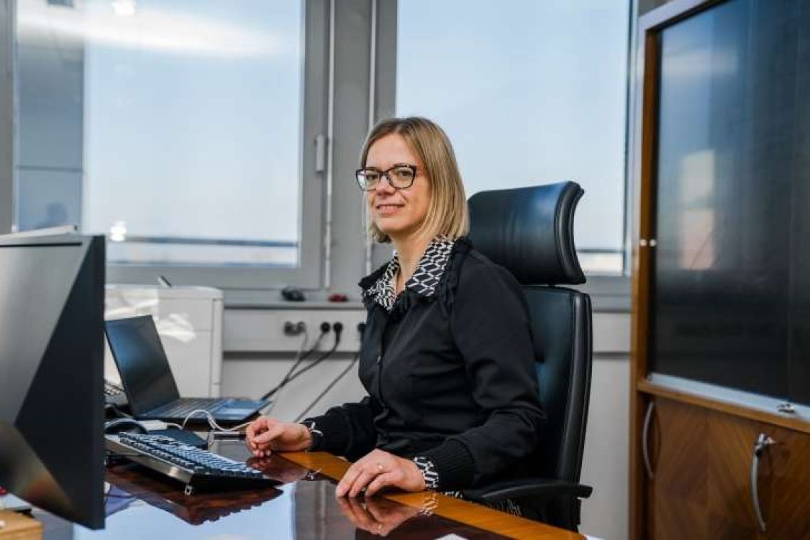 Dnevnik o predlaganem razmerju plač v javnem sektorju 