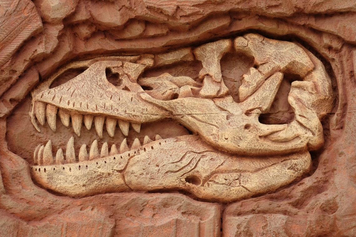 Fosilizirani dinozavrski zobje razkrivajo podnebne razmere mezozoika