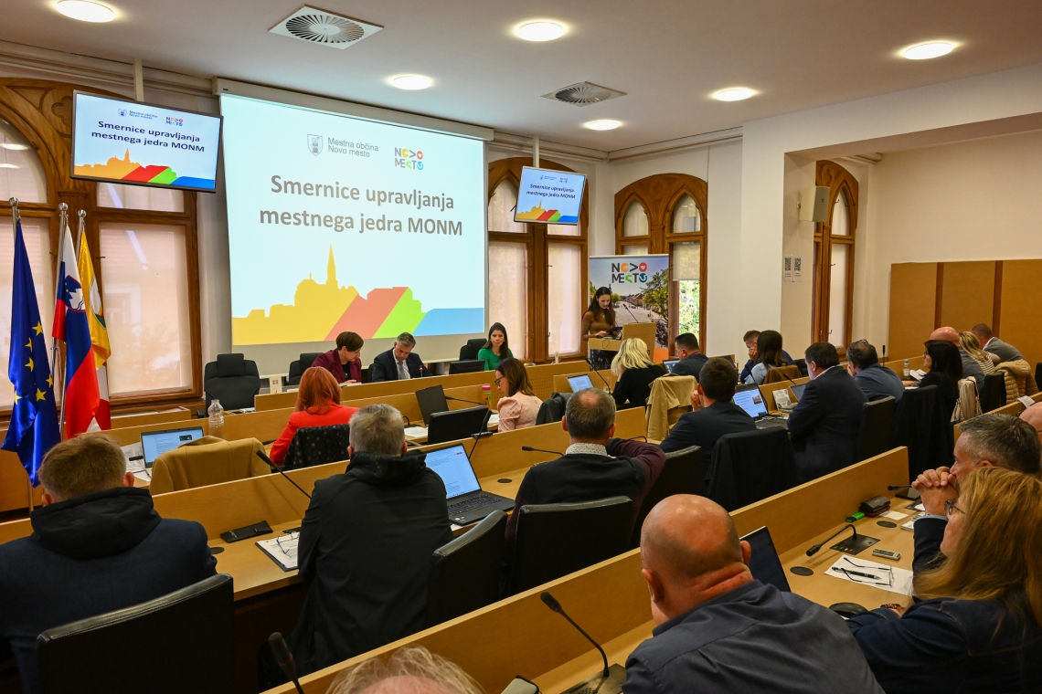 Novo mesto z novimi smernicami za mestno jedro in širitvijo stanovanjske soseske v Bučni vasi