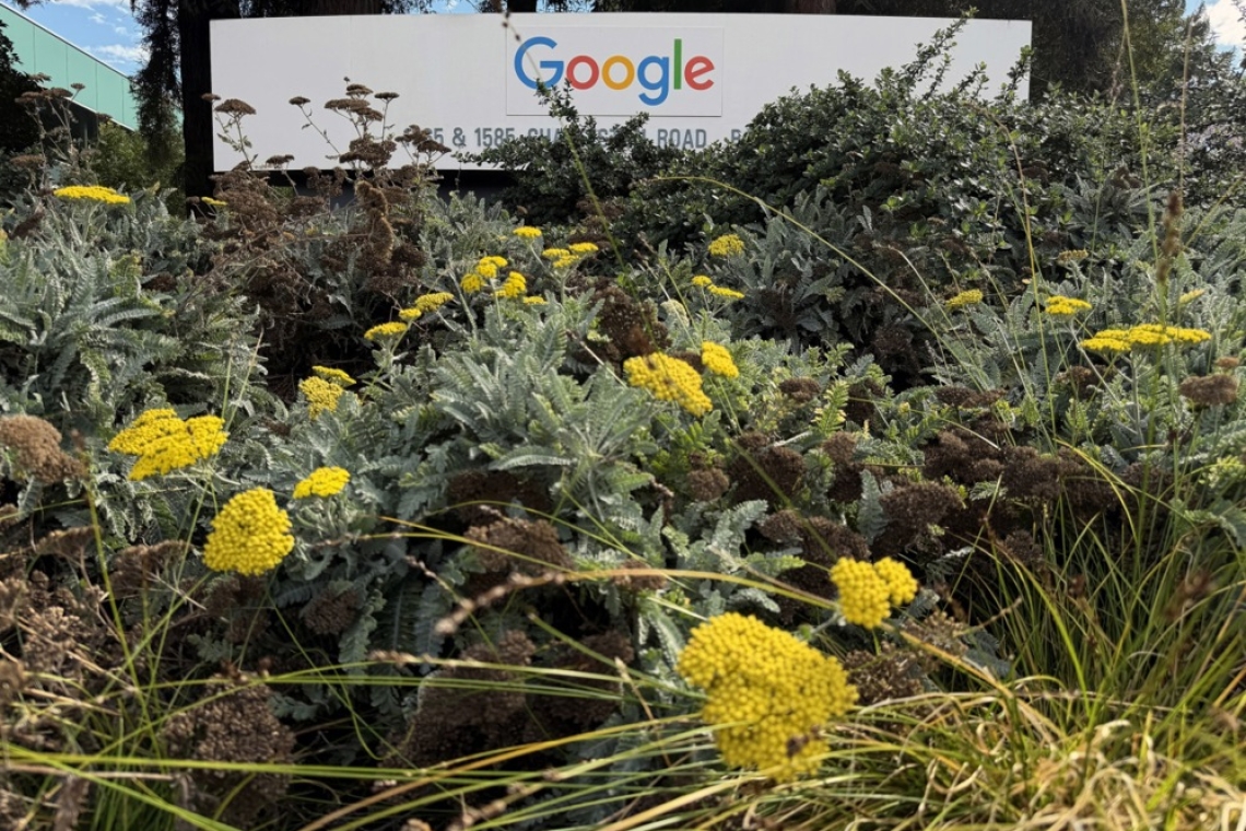 Google bo v Indiji zgradil največji center za umetno inteligenco izven ZDA