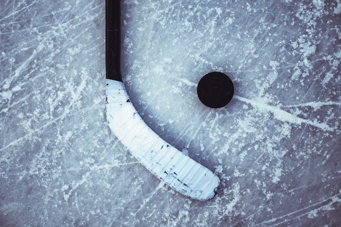 Kralji brez poškodovanega Kopitarja izgubili na domačem ledu