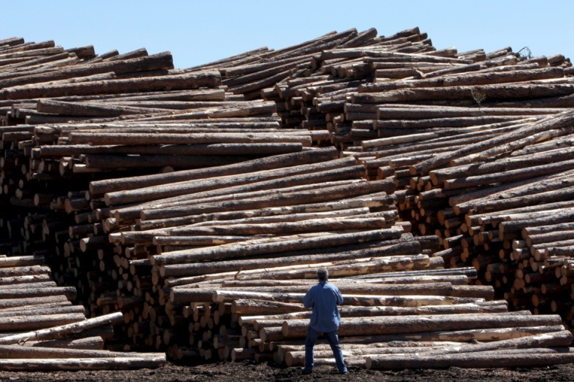 Ledinek Engineering se na konferenci Mass Timber+ v Bostonu predstavlja s prelomnimi tehnološkimi rešitvami za masivni les