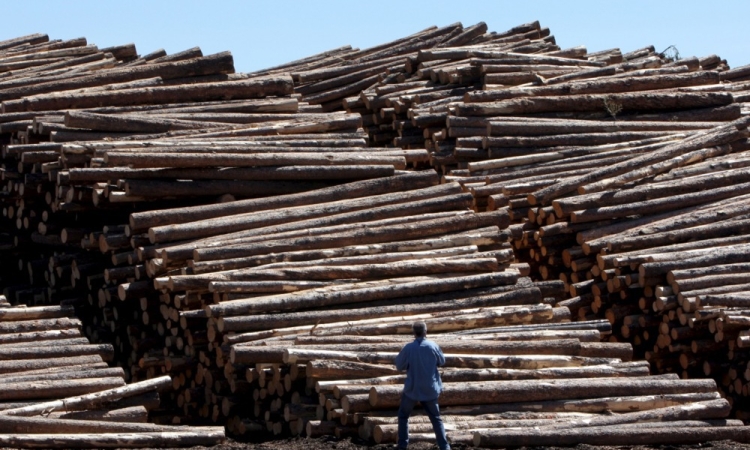 Ledinek Engineering se na konferenci Mass Timber+ v Bostonu predstavlja s prelomnimi tehnološkimi rešitvami za masivni les