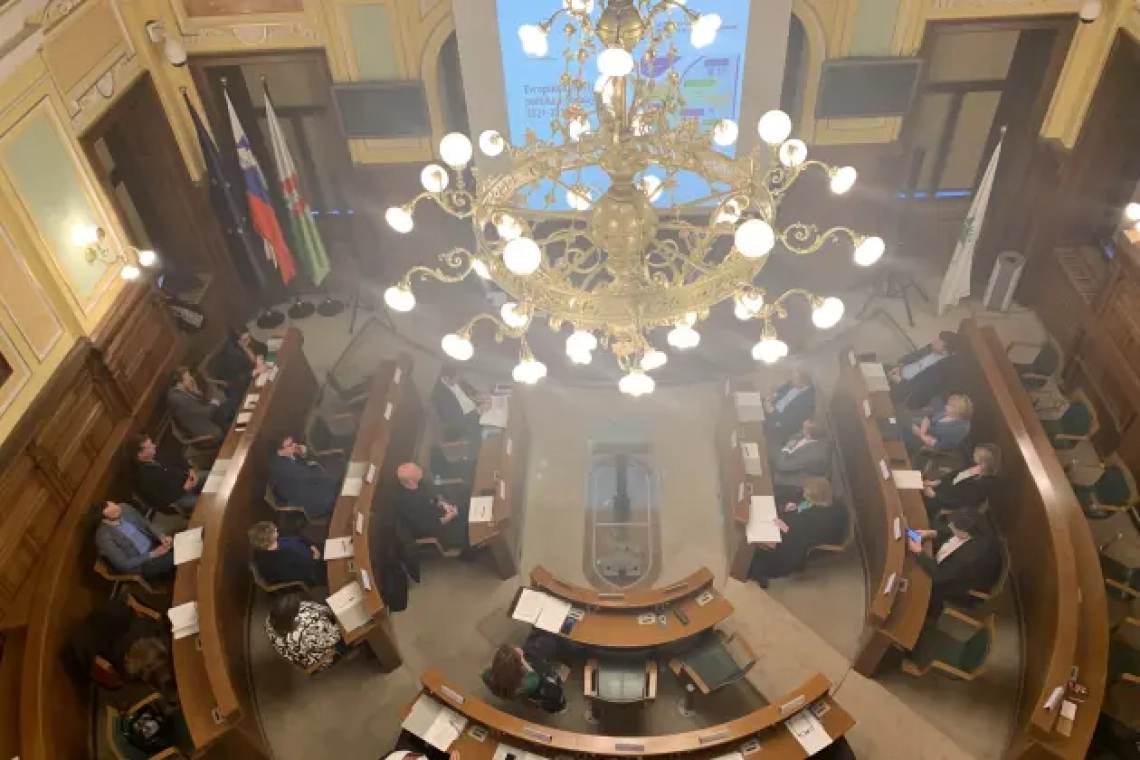 Ljubljanski svetniki bodo odločali o umiku parkirne ureditve v soseskah